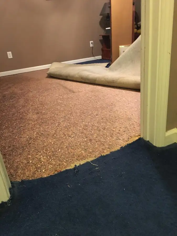 Carpet pad removal revealing water damage during Water Mitigation Services in Tyrone