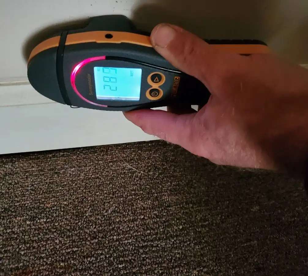 Moisture detection at baseboard during Burst Pipe Cleanup in Tyrone
